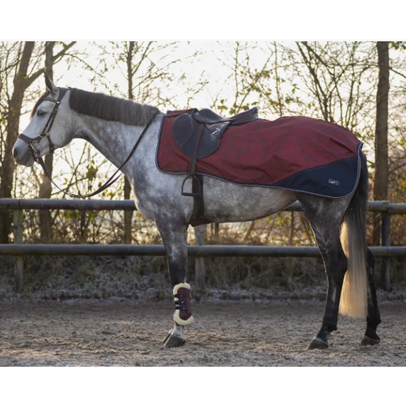 QHP Exercise Sheet Turnout Collection - Saddlery